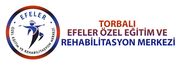 Efeler Özel Eğitim ve Rehabilitasyon Merkezi